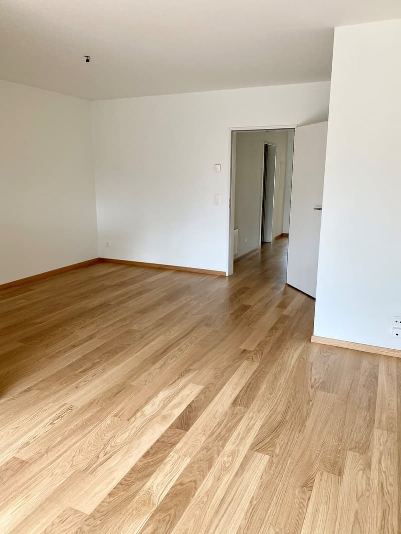 Moderne 2 1/2 Zimmer-Wohnung an zentraler Lage (3)