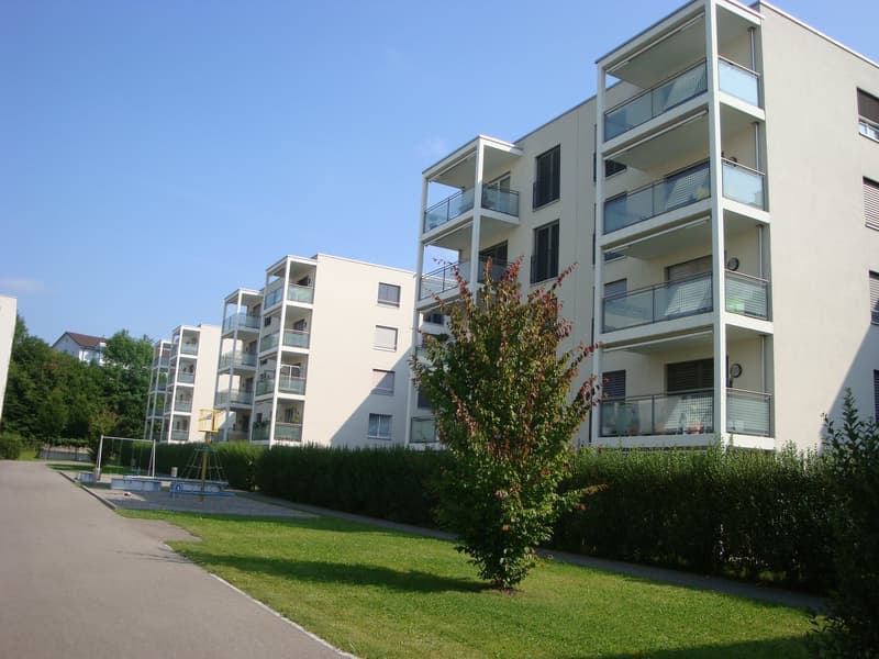Helle und ruhige 4.5-Zimmerwohnung in Luzern (1)
