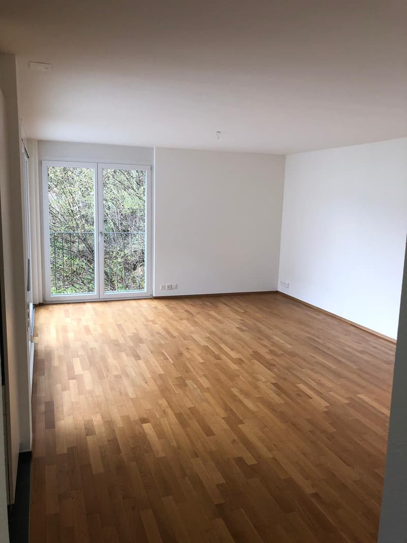 Helle und ruhige 4.5-Zimmerwohnung in Luzern (6)
