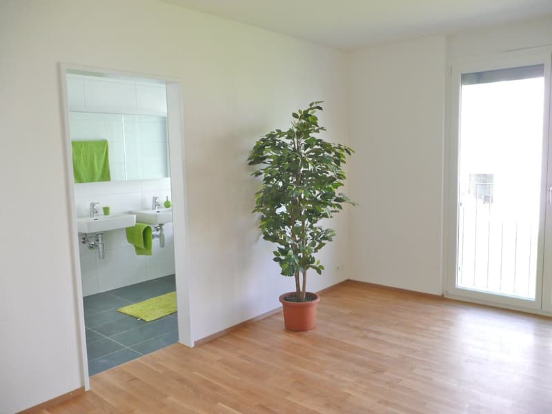 Helle und ruhige 4.5-Zimmerwohnung in Luzern (4)
