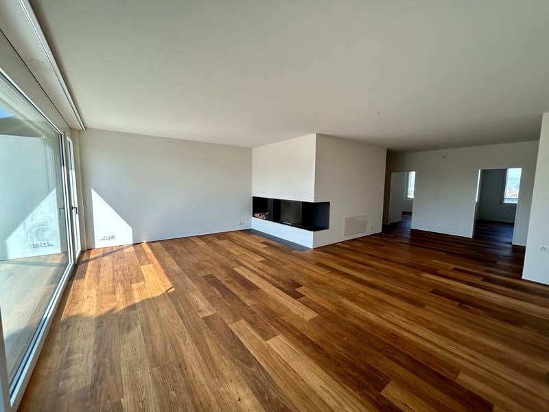 Luxuriöse 3.5-Zimmerwohnung im Zentrum von Basel (2)