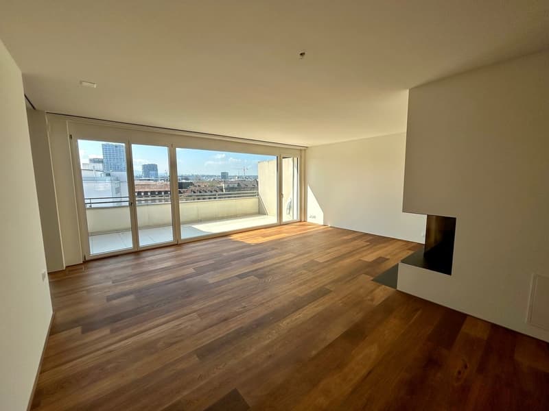 Luxuriöse 3.5-Zimmerwohnung im Zentrum von Basel (3)