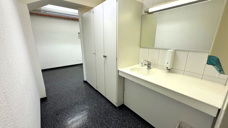 Spacious office space for rent near Basel Fair (8)
