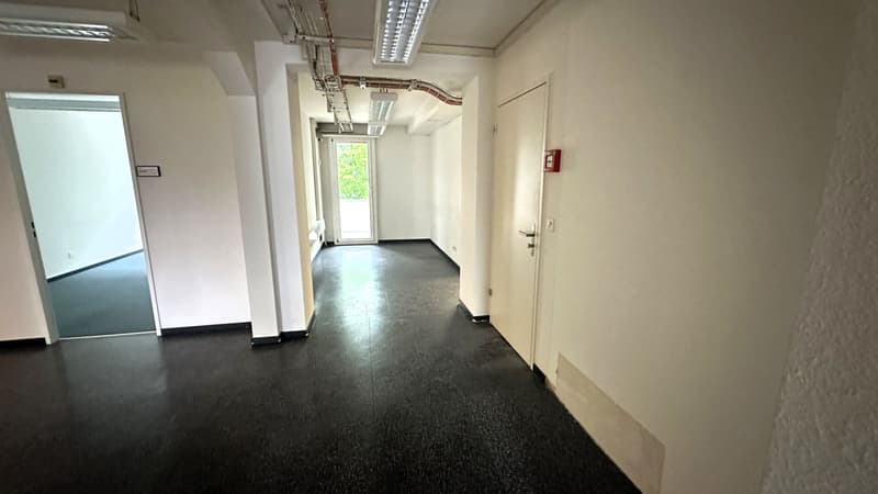Spacious office space for rent near Basel Fair (3)