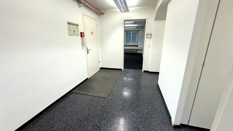 Spacious office space for rent near Basel Fair (2)