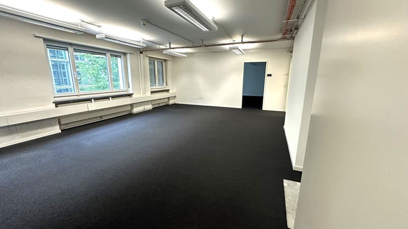 Spacious office space for rent near Basel Fair (4)