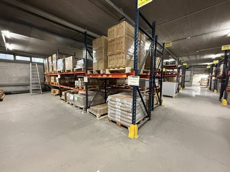 Gewerbeflächen mit ca. 1'200 m2 auf einer Ebene (4)