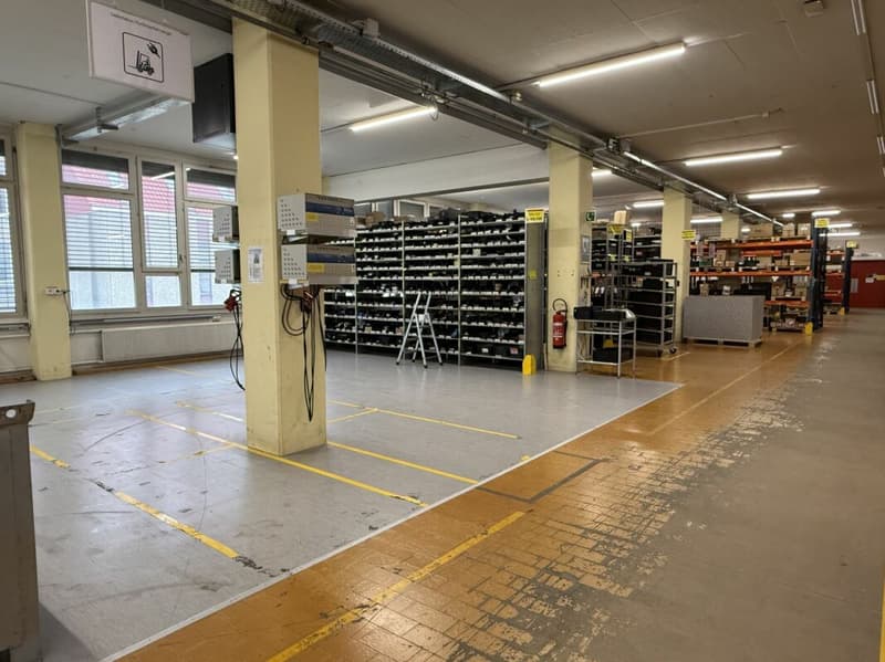 Spazi commerciali di circa 3500 m2 con tre rampe per camion (3)