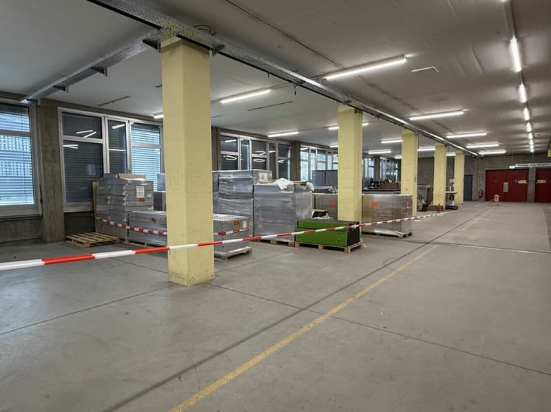 Spazi commerciali di circa 3500 m2 con tre rampe per camion (4)