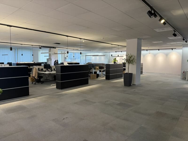 Espaces de bureau lumineux à Dreispitz (4)