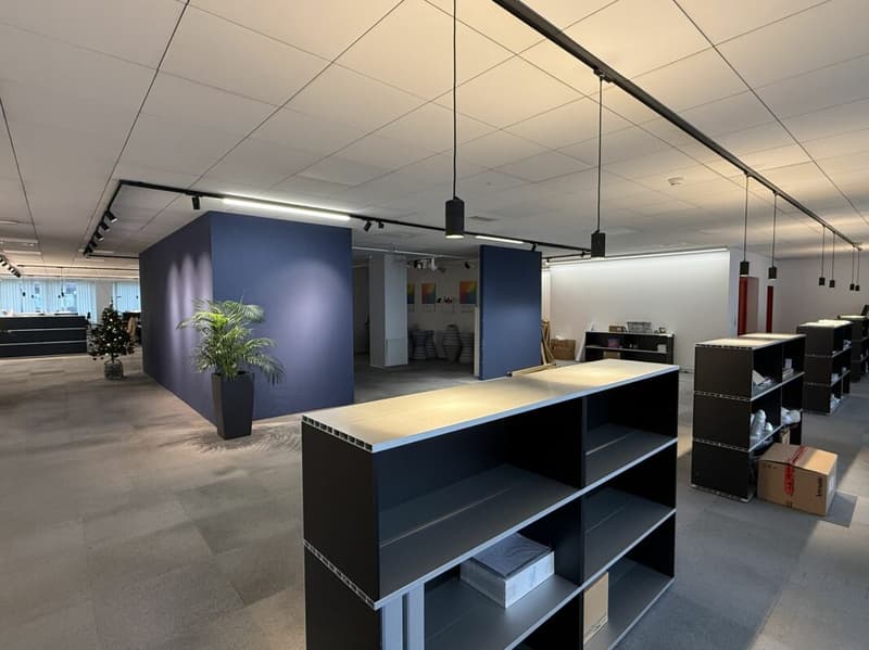 Espaces de bureau lumineux à Dreispitz (2)