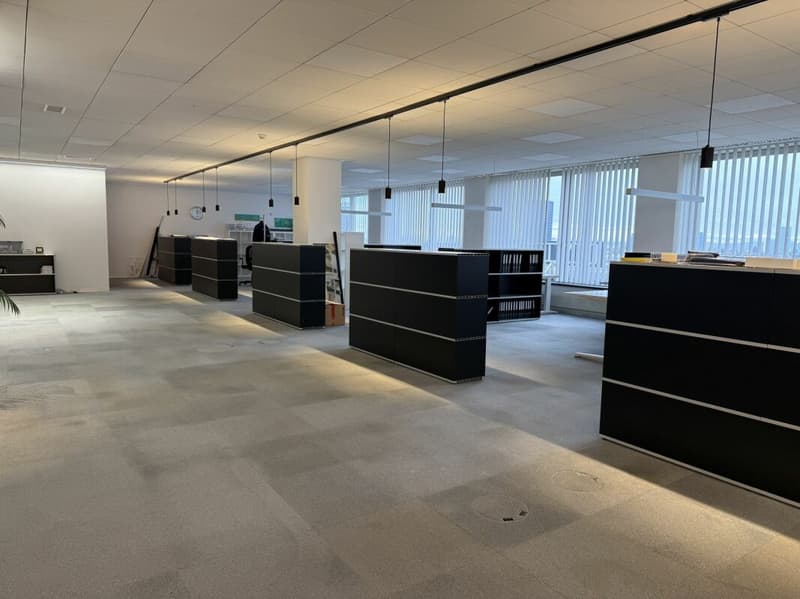 Espaces de bureau lumineux à Dreispitz (5)