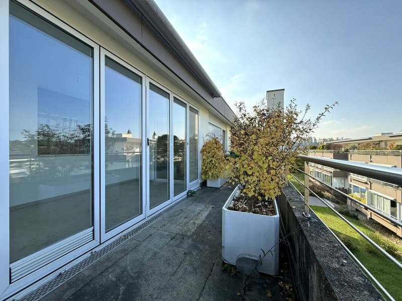3.5-Room Attic Apartment (9)