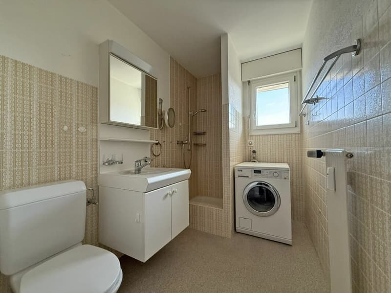 3.5-Room Attic Apartment (5)