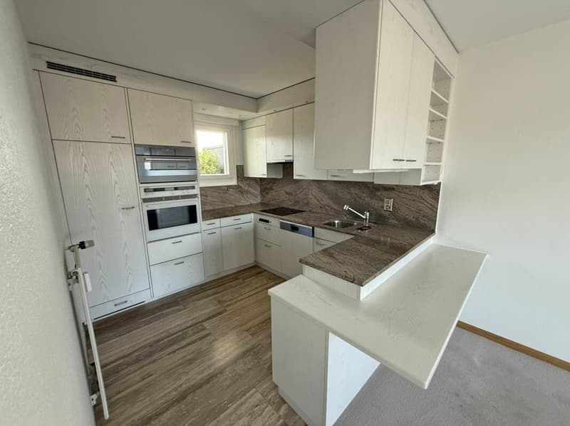 3.5-Room Attic Apartment (3)