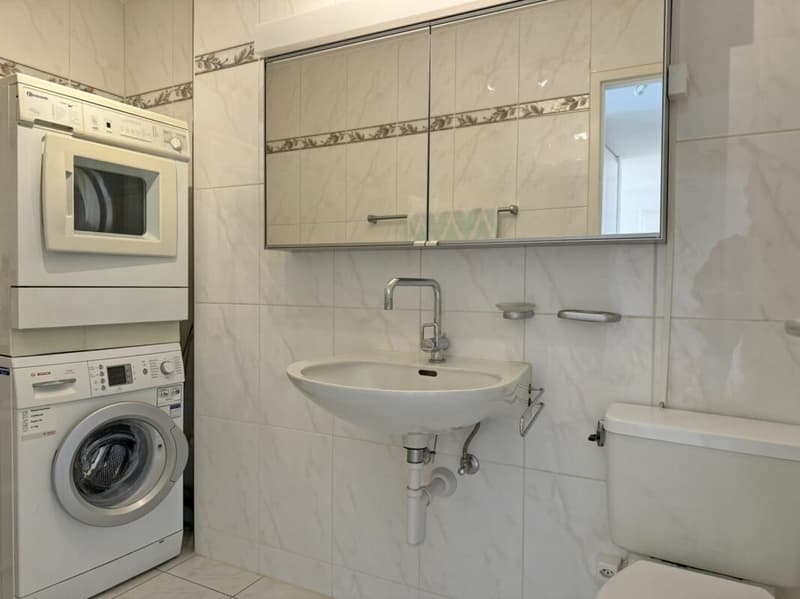 Bright 4.5-room apartment with a view (7)