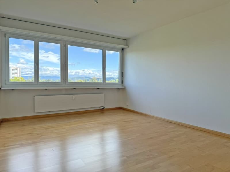 Bright 4.5-room apartment with a view (9)