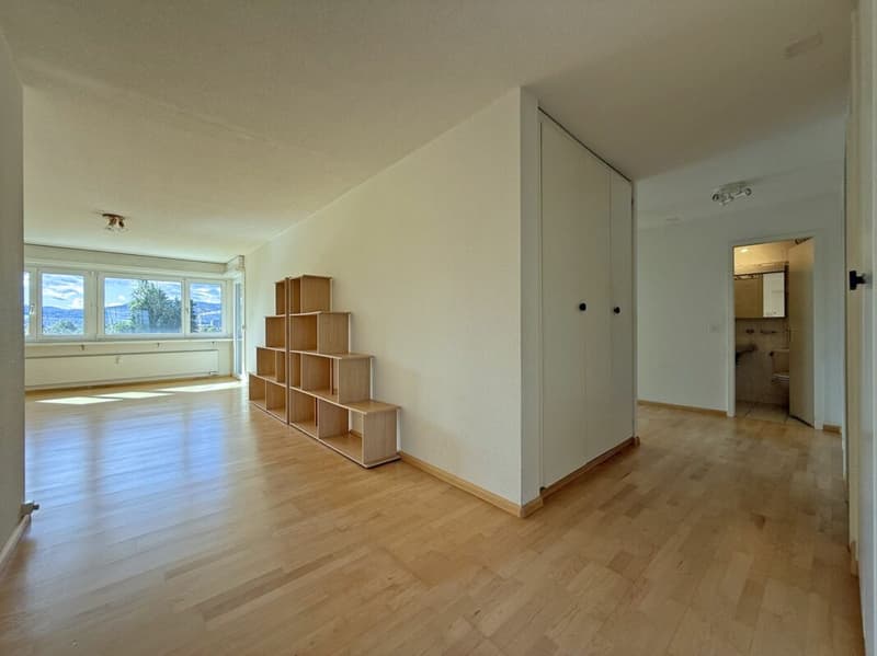 Bright 4.5-room apartment with a view (3)