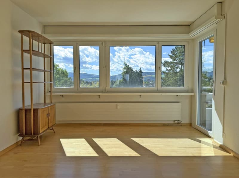 Bright 4.5-room apartment with a view (4)