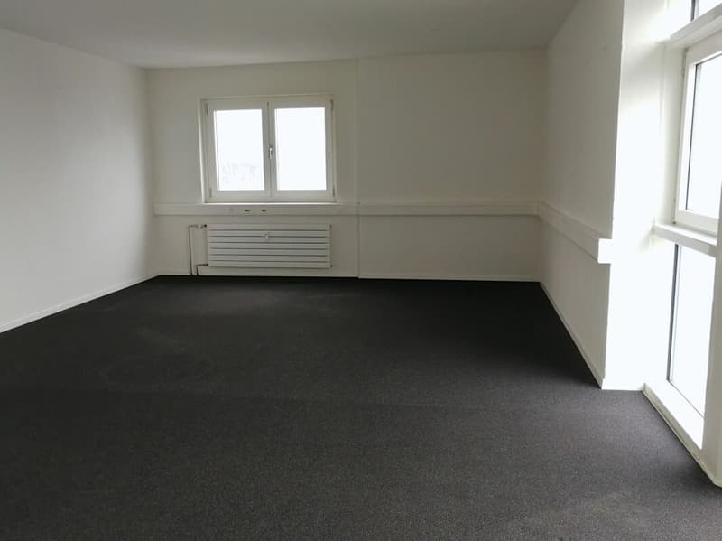 Moderne Büroflächen an verkehrsgünstiger Lage (4)