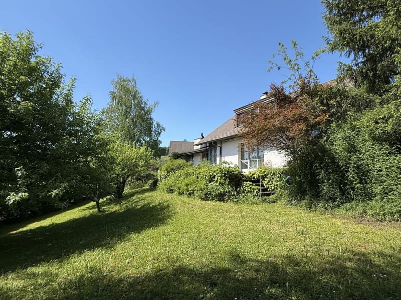 Detached single-family house on a large plot (11)