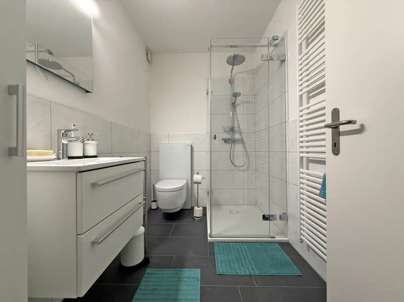 Unique semi-detached family home (3)