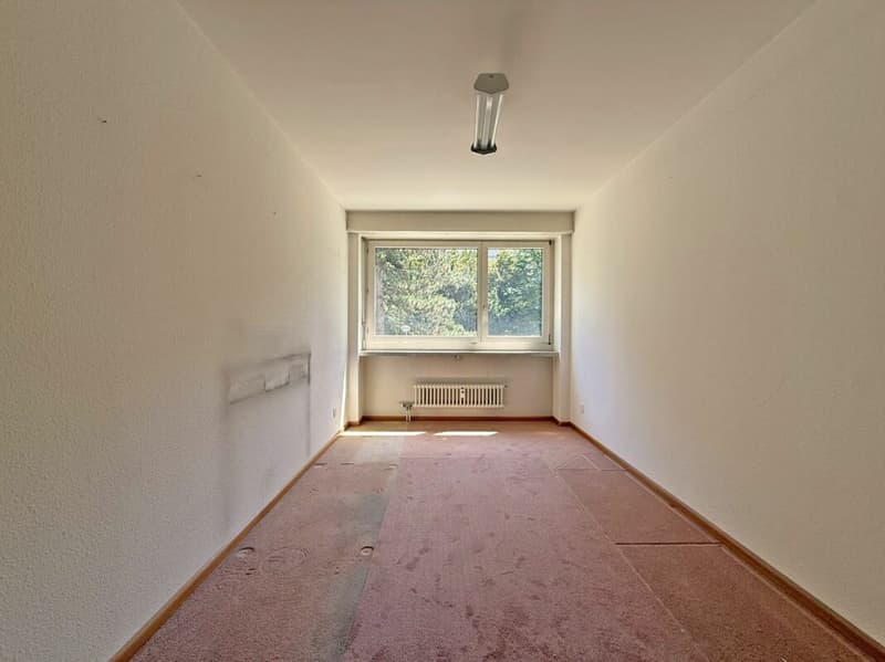 Appartement 5.5 pièces dans un excellent emplacement (8)