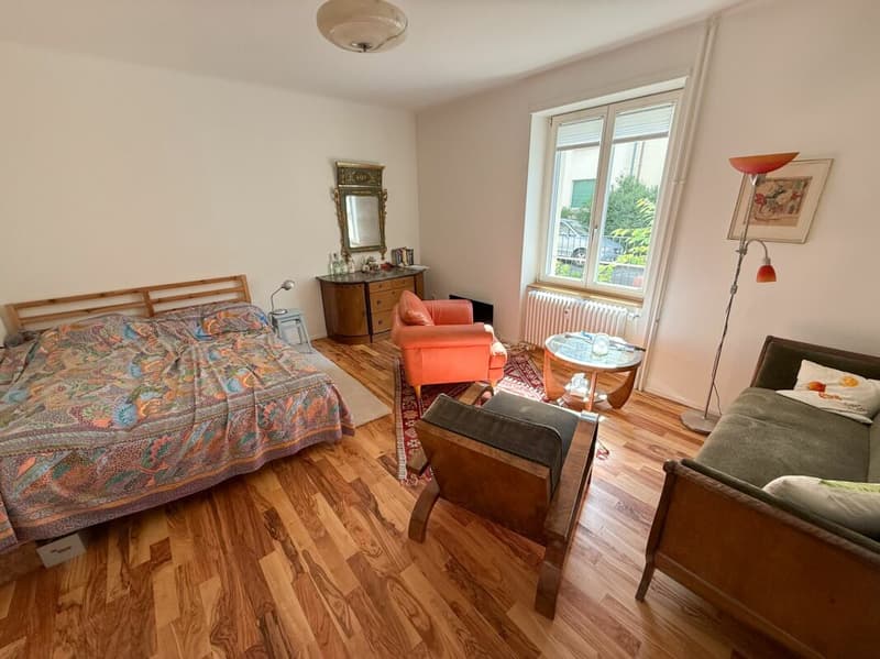 Appartement 1.5 pièces neuf (2)