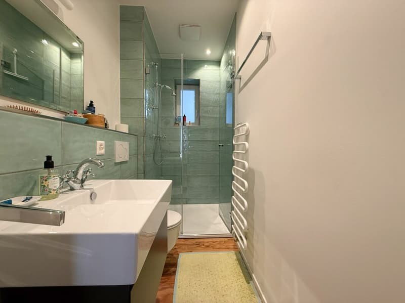 Appartement 1.5 pièces neuf (3)