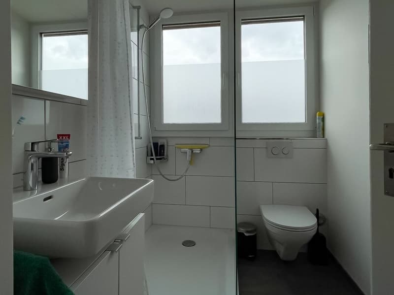 Renovated Multi-Family House (3)