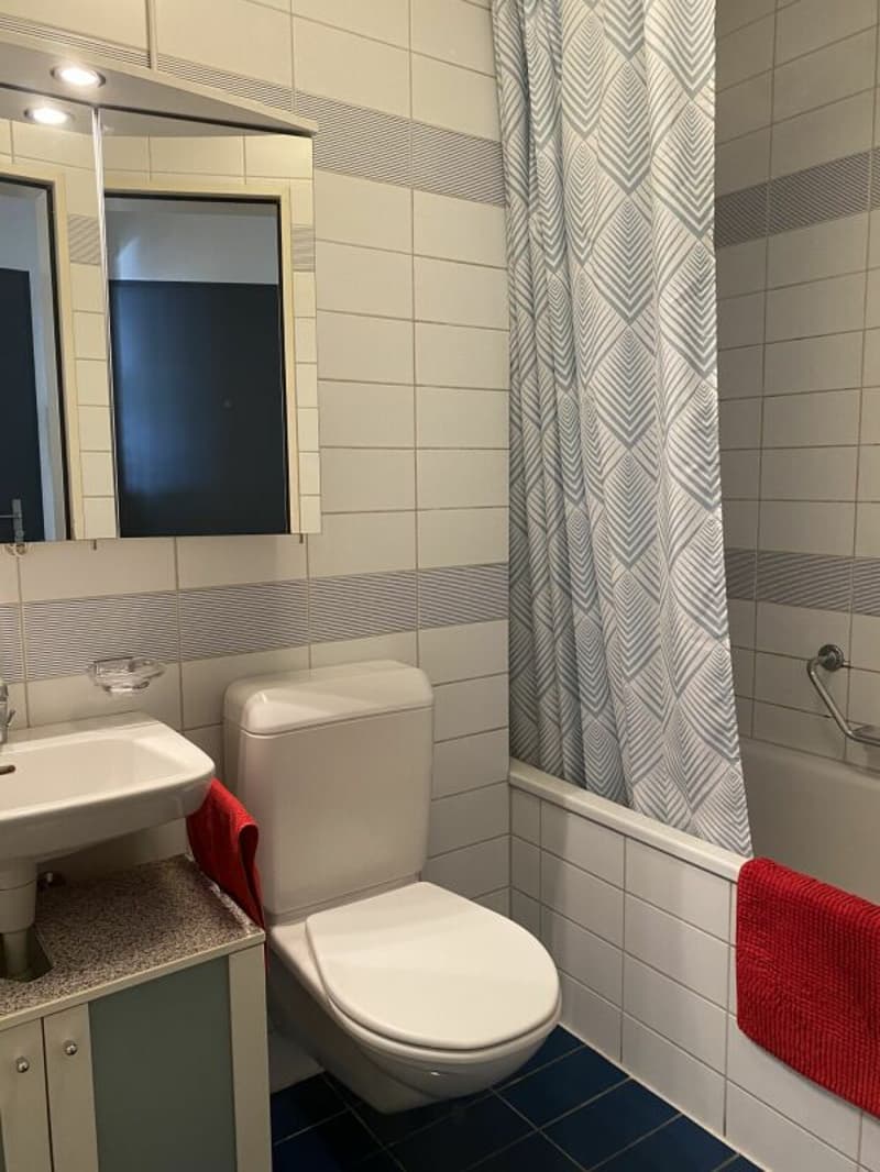 Möblierte 2.5-Zimmerwohnung (9)