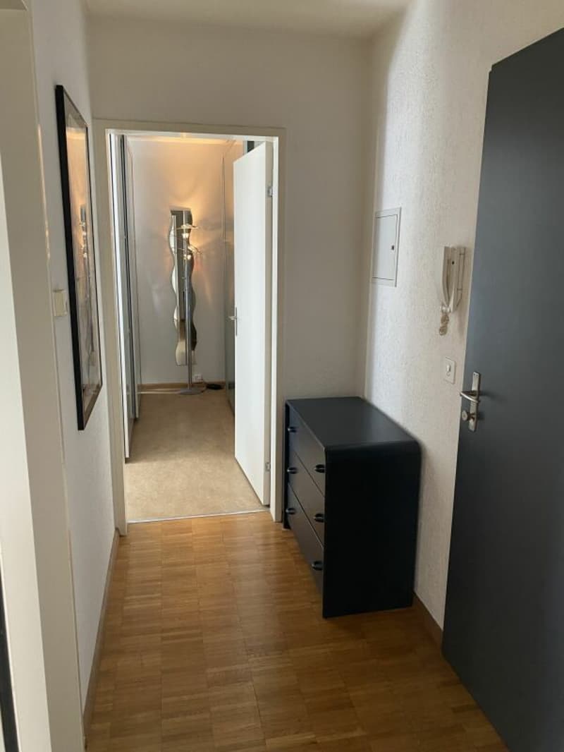 Möblierte 2.5-Zimmerwohnung (7)