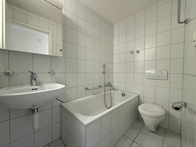 4.5-Zimmerwohnung an zentraler Lage in Allschwil (6)