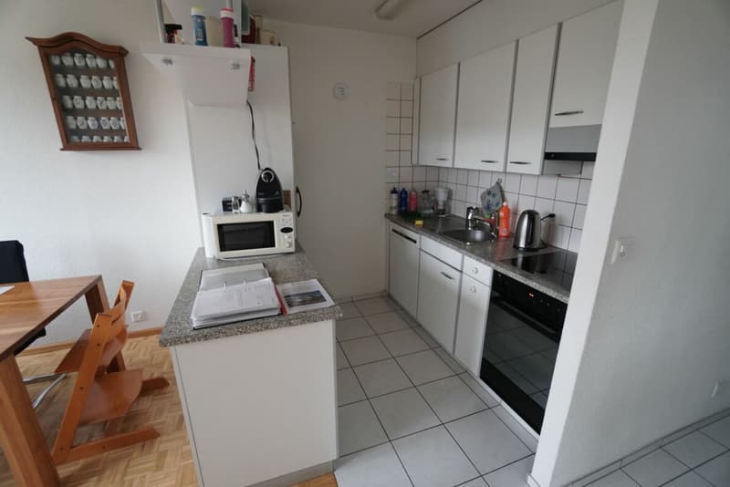 3.5 Zimmerwohnung im Hochparterre (5)