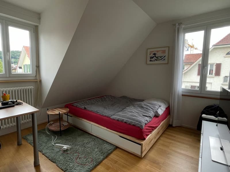 Saniertes Mehrfamilienhaus (2)