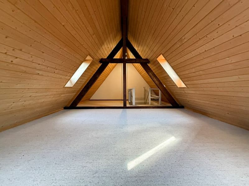 Repräsentatives Stadthaus mit 250m2 im Gundeli (9)