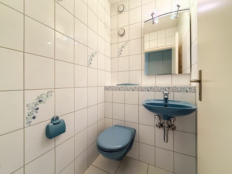 3.5-Zimmerwohnung mit Weitblick (4)