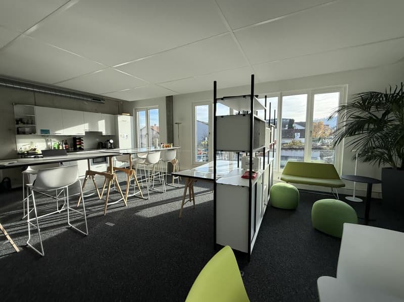 Repräsentative moderne Büroflächen (3)
