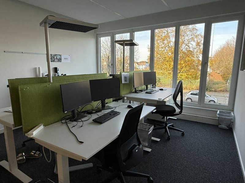 Repräsentative moderne Büroflächen (8)
