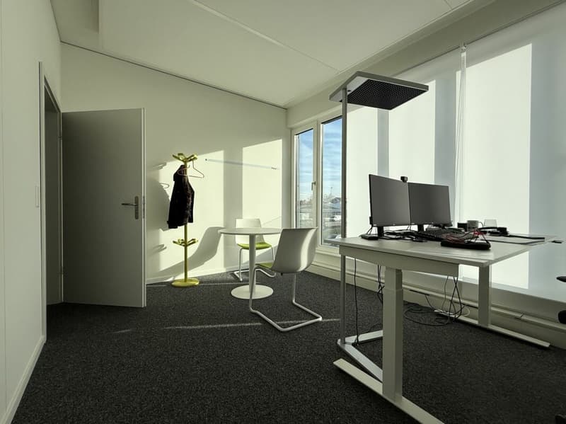 Repräsentative moderne Büroflächen (9)