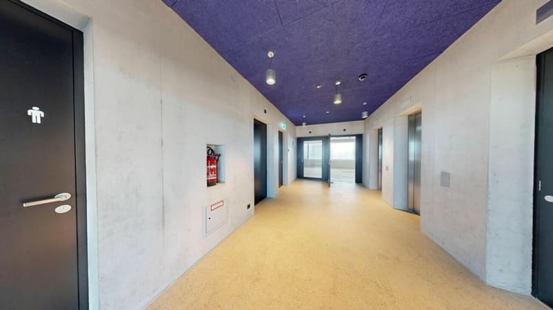 Büro mit ca. 780 m2 in Neubau (9)
