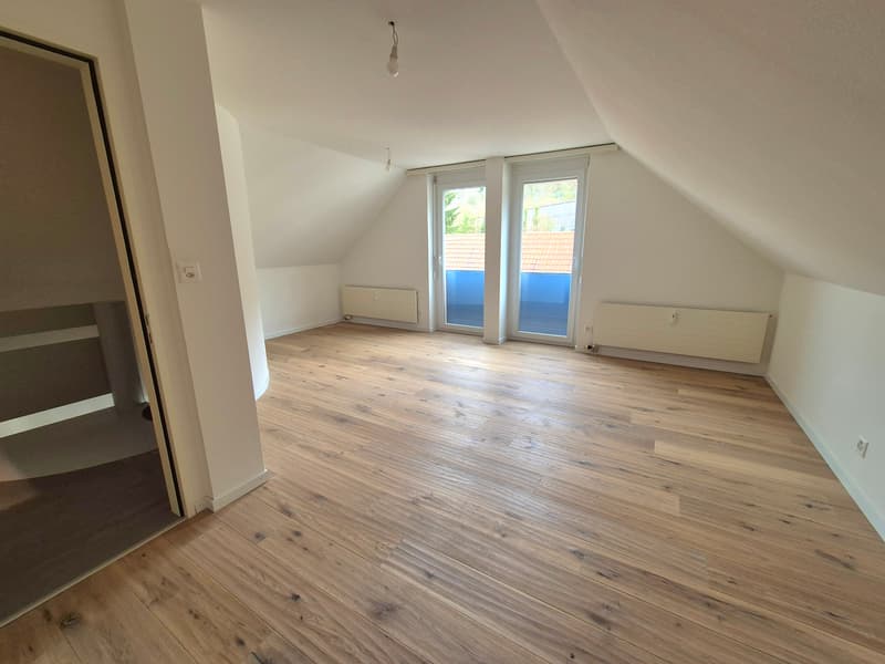 Zimmer DG