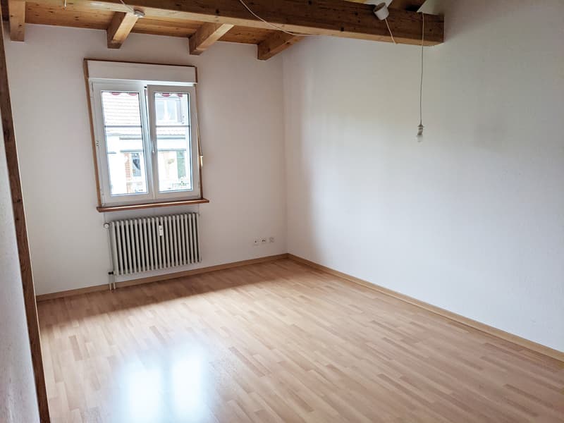 Zimmer1 (2)