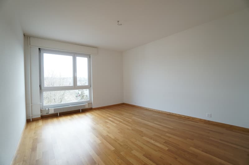 Zimmer2