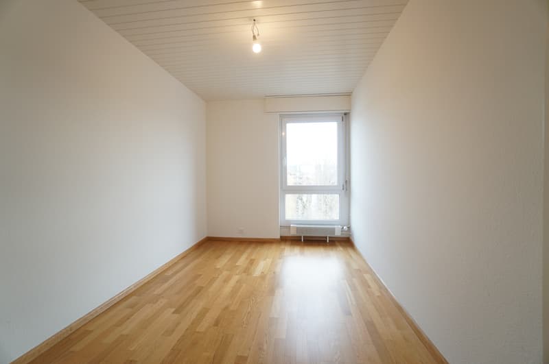 Zimmer3