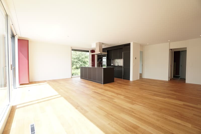 Wohnzimmer/Küche
