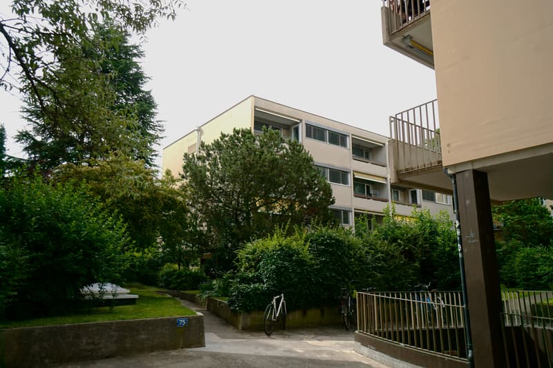 Pfeffingerstrasse 77 + 79 sicht von Strasse (2)