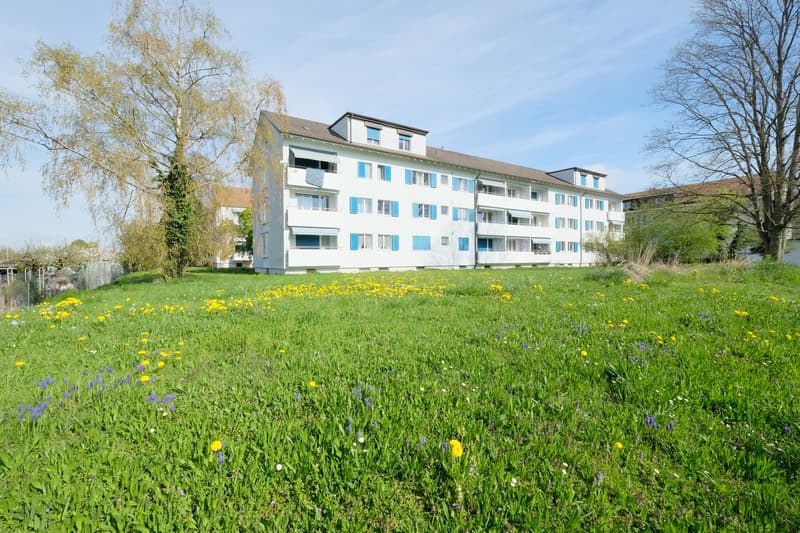 Liegenschaft