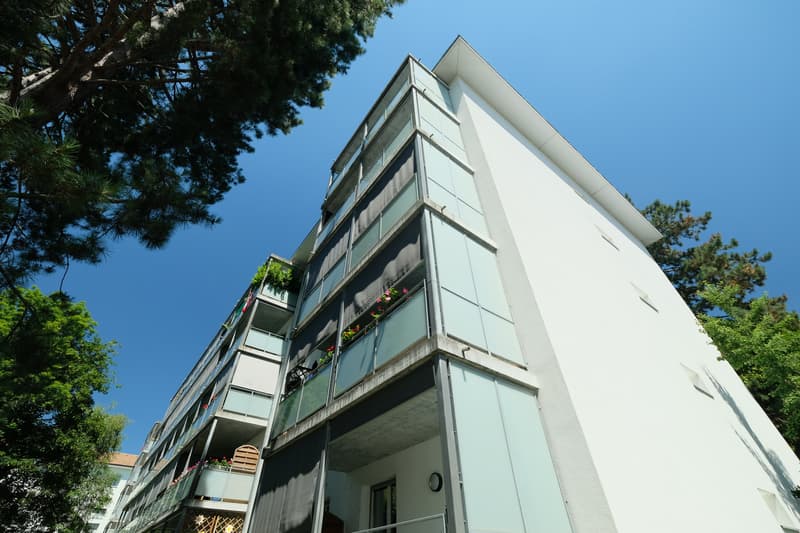 Liegenschaft