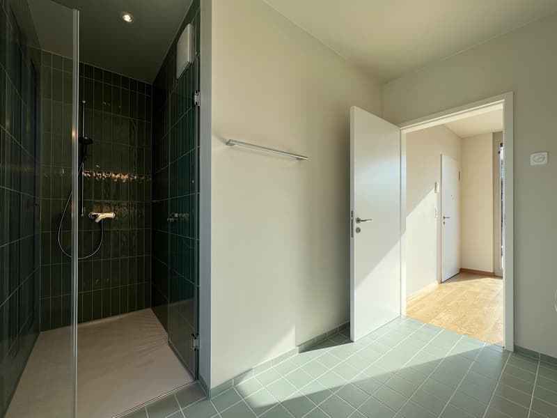 Appartamento moderno 2 locali con grande terrazza a St. Johann (5)
